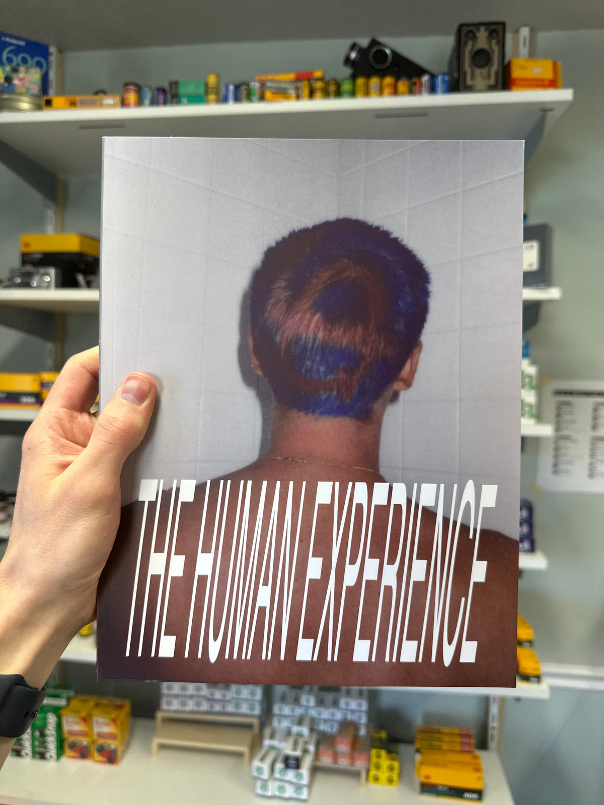 Low Quality Film Society Zines